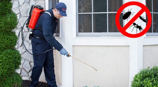 Eşme Fare İlaçlama böcek ilaçlama ve haşere kontrolü — ilaclama-tr.com